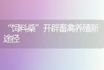 “饲料桑”开辟畜禽养殖新途径