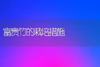 富贵竹的栽培措施