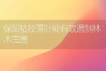 保留枯枝落叶能有效遏制林木虫害