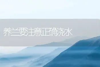 养兰要注意正确浇水