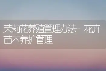 茉莉花养殖管理办法-花卉苗木养护管理