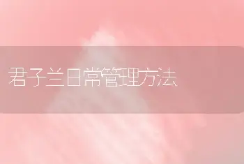 君子兰日常管理方法