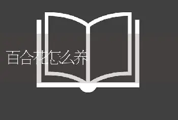 百合花怎么养