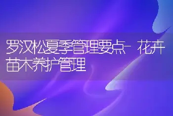 罗汉松夏季管理要点-花卉苗木养护管理