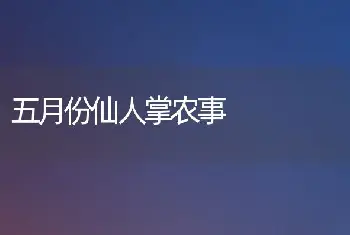 五月份仙人掌农事