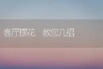 客厅摆花 教您几招