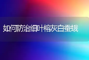 如何防治细叶榕灰白蚕蛾