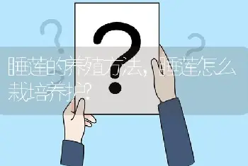 睡莲的养殖方法，睡莲怎么栽培养护?