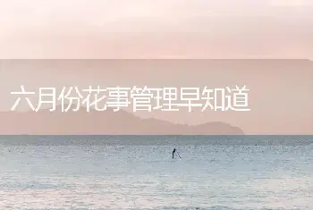 六月份花事管理早知道