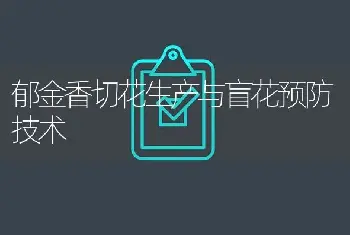 球根秋海棠种苗的培育和成品的养护