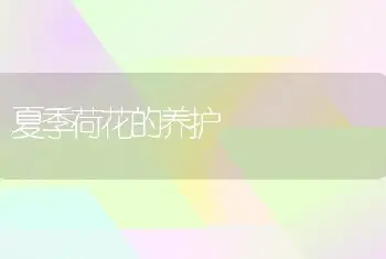 滴水观音暴露疗法