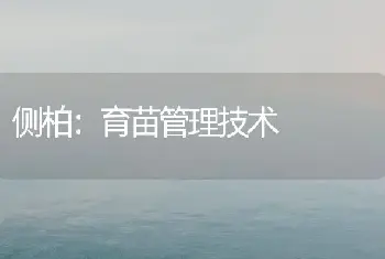 侧柏：育苗管理技术