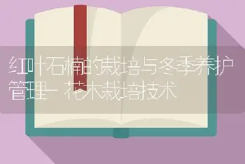 红叶石楠的栽培与冬季养护管理-花木栽培技术