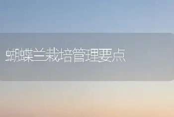 蝴蝶兰栽培管理要点