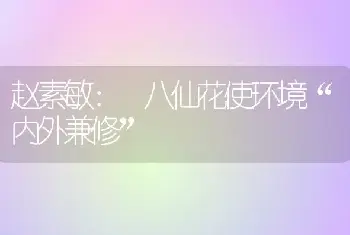 赵素敏： 八仙花使环境“内外兼修”