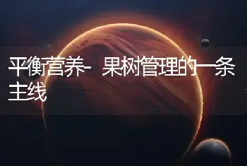 丝石竹有哪些生态习性?