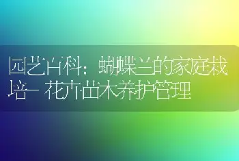 园艺百科：蝴蝶兰的家庭栽培-花卉苗木养护管理