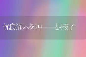 优良灌木树种——胡枝子