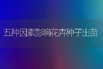 五种因素影响花卉种子出苗