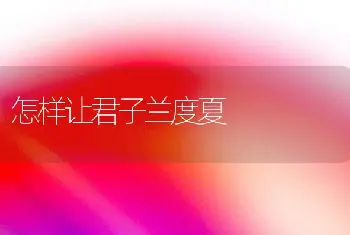 怎样让君子兰度夏