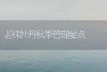 老株牡丹秋季管理要点