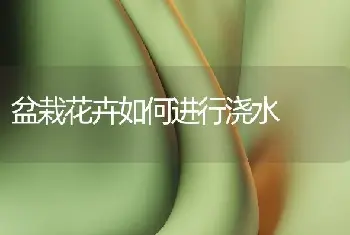 盆栽花卉如何进行浇水