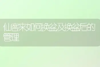 仙客来如何换盆及换盆后的管理