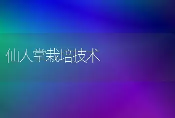 仙人掌栽培技术