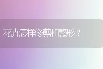 花卉怎样修剪和整形？