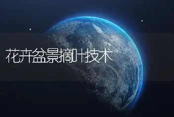 红松球蚜防治