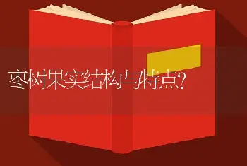 枣树果实结构与特点？