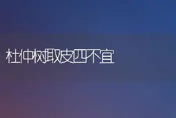 杜仲树取皮四不宜