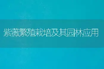 紫薇繁殖栽培及其园林应用