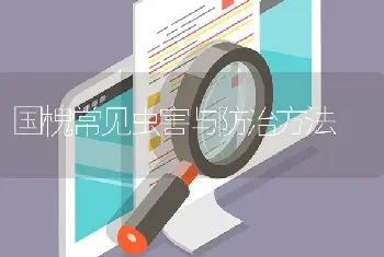 国槐常见虫害与防治方法