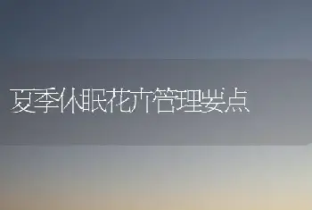 夏季休眠花卉管理要点