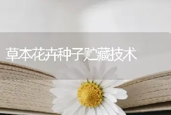 草本花卉种子贮藏技术