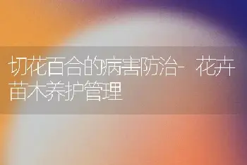 怎样养护盆栽仙客来?