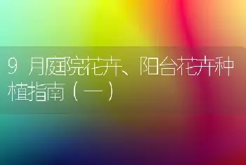 9月庭院花卉、阳台花卉种植指南（一）