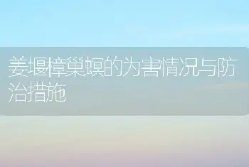 姜堰樟巢螟的为害情况与防治措施