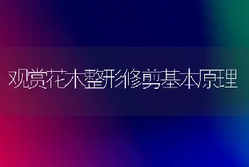 常春藤作用知多少