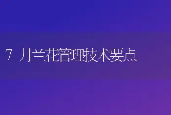 7月兰花管理技术要点