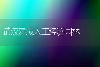 武汉建成人工经济园林