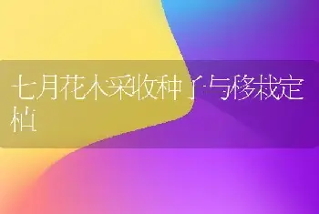 七月花木采收种子与移栽定植