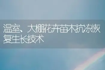 温室、大棚花卉苗木抗冻恢复生长技术