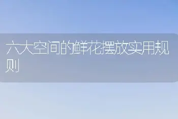 六大空间的鲜花摆放实用规则