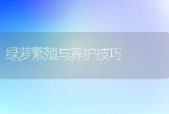 绿萝繁殖与养护技巧