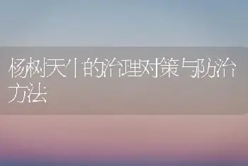 杨树天牛的治理对策与防治方法