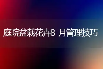 庭院盆栽花卉8月管理技巧