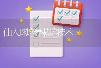 仙人球培养栽培技术