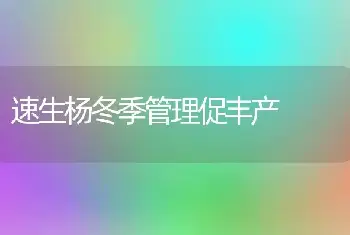 速生杨冬季管理促丰产